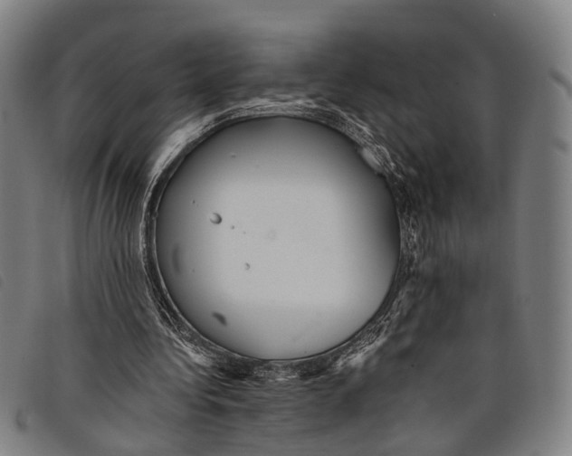 X0000097850340200804041511