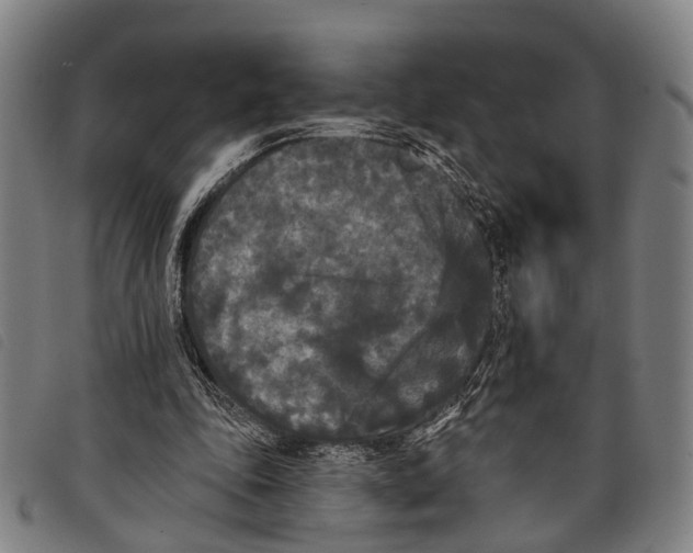 X0000097850343200804041511