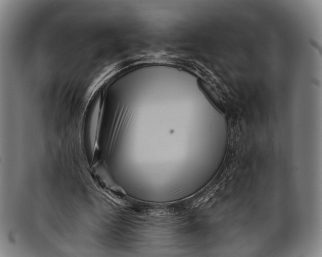 X0000097850344200804041511