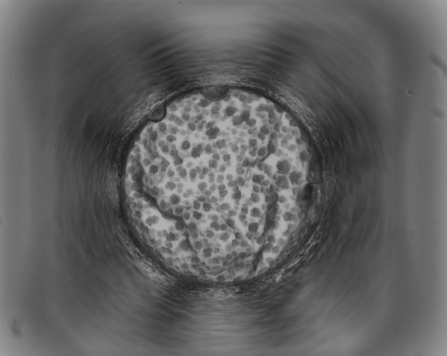 X0000097850345200804041511