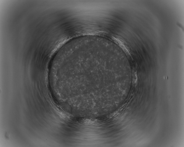 X0000097850346200804041511