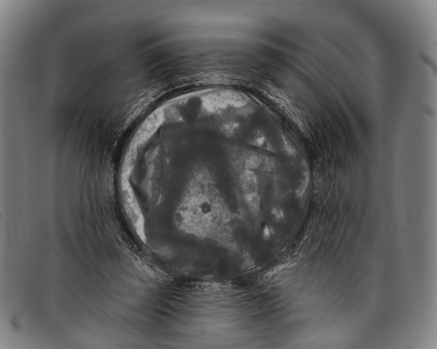 X0000097850347200804041511