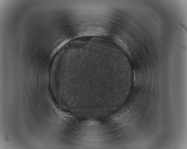 X0000097850348200804041511