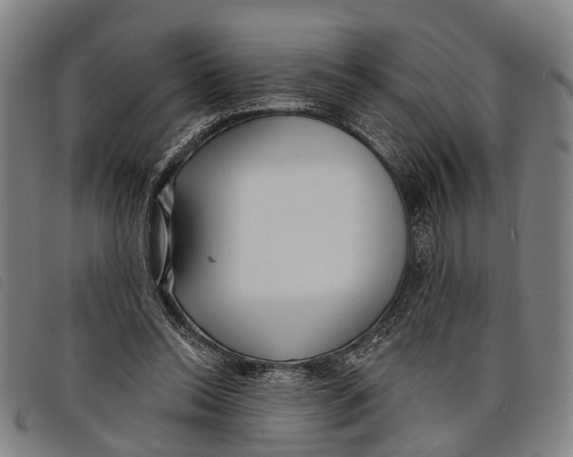 X0000097850350200804041512