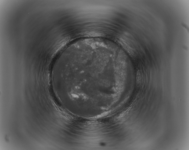 X0000097850351200804041512