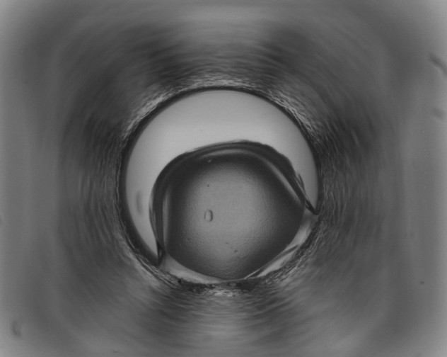 X0000097850352200804041512