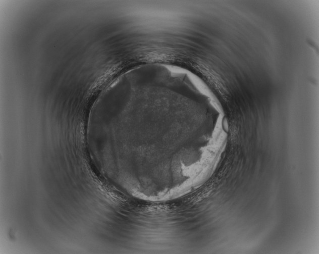 X0000097850353200804041512