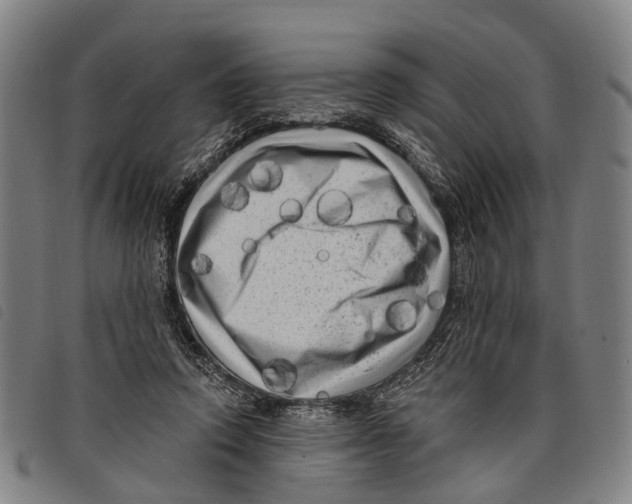 X0000097850354200804041512