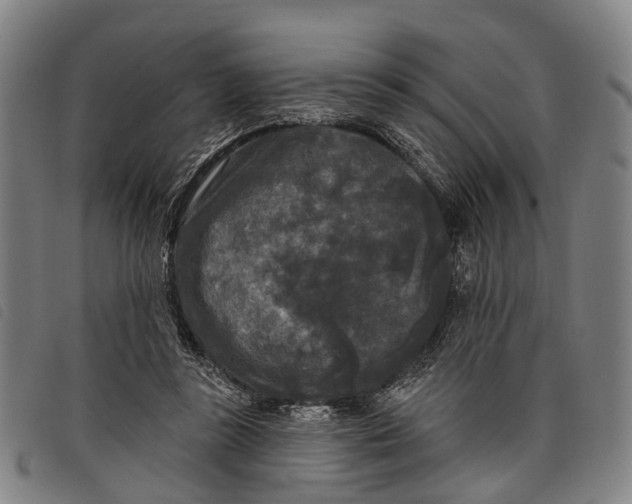 X0000097850355200804041512