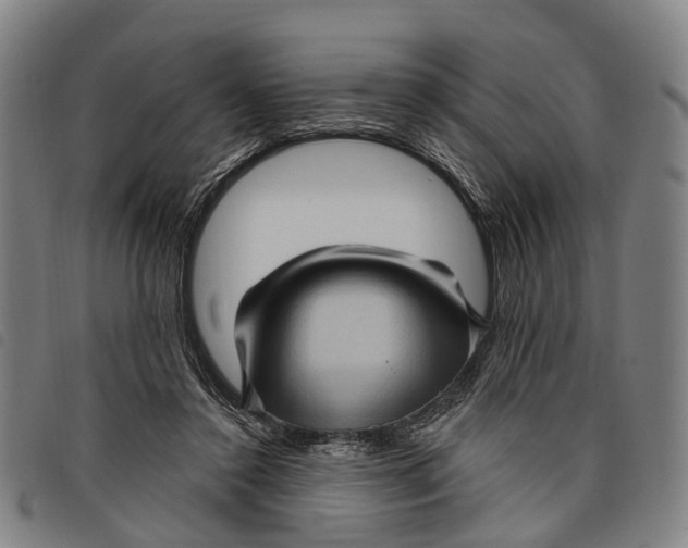 X0000097850356200804041512