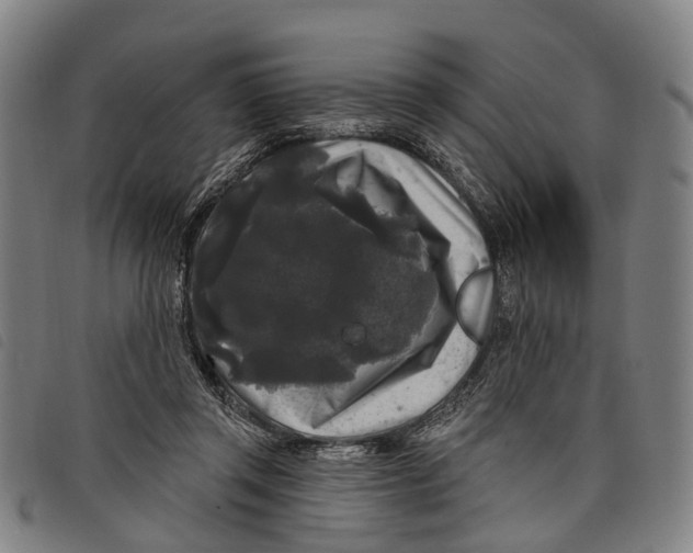 X0000097850357200804041512