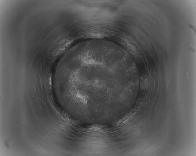 X0000097850358200804041512