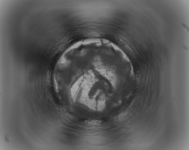 X0000097850359200804041512