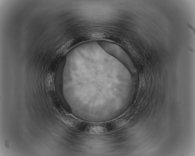 X0000097850360200804041512