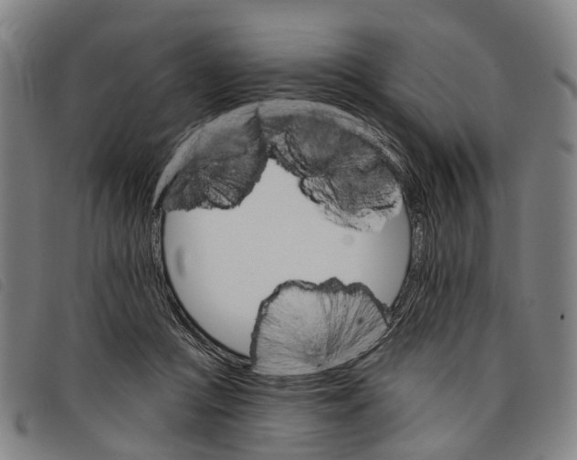 X0000097850361200804041512