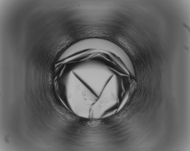 X0000097850362200804041512