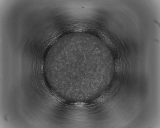 X0000097850363200804041512