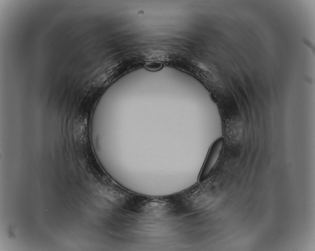 X0000097850364200804041512