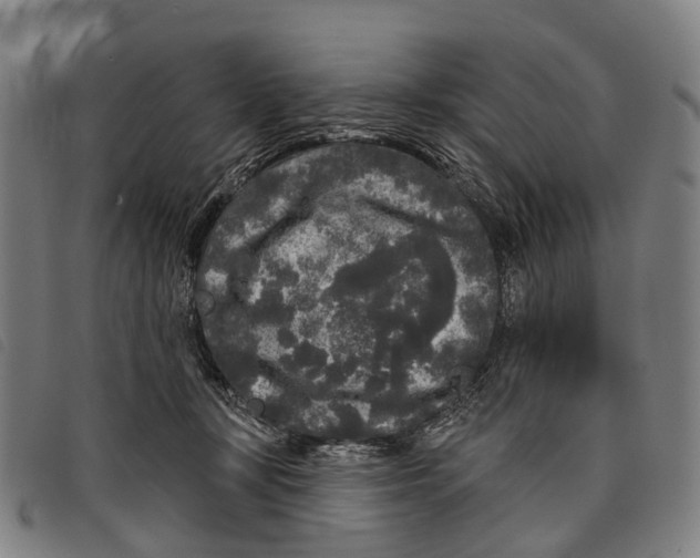 X0000097850367200804041512