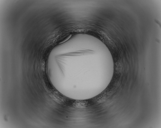 X0000097850368200804041512