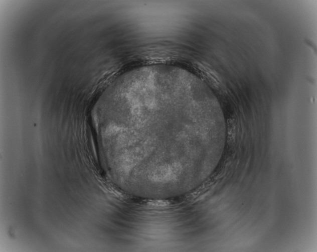 X0000097850369200804041512