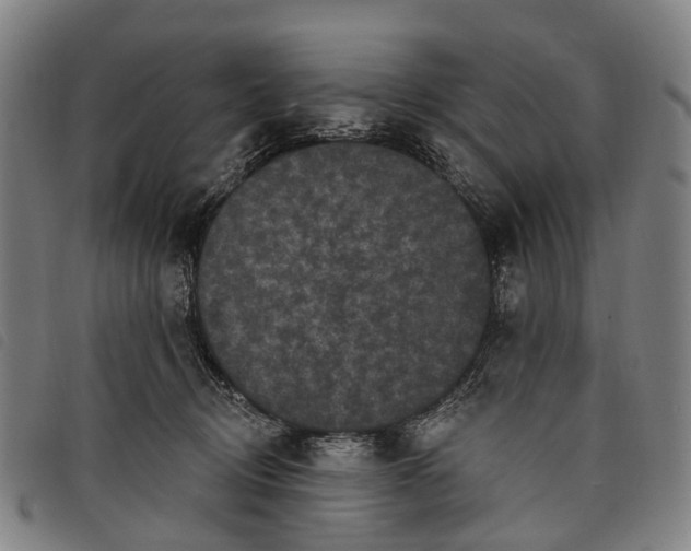 X0000097850370200804041512