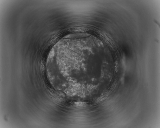 X0000097850371200804041512