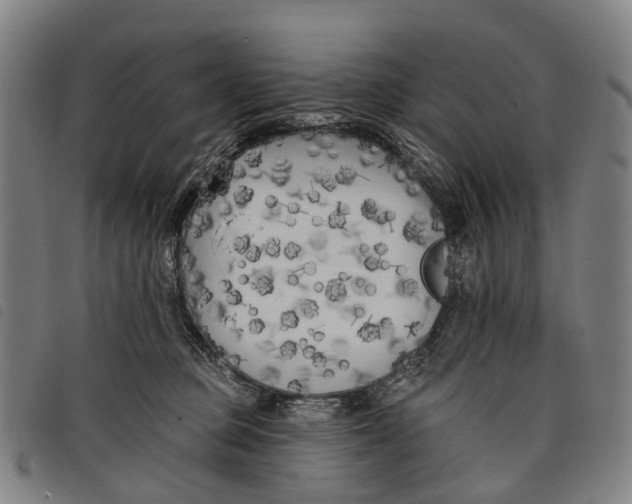 X0000097850373200804041512