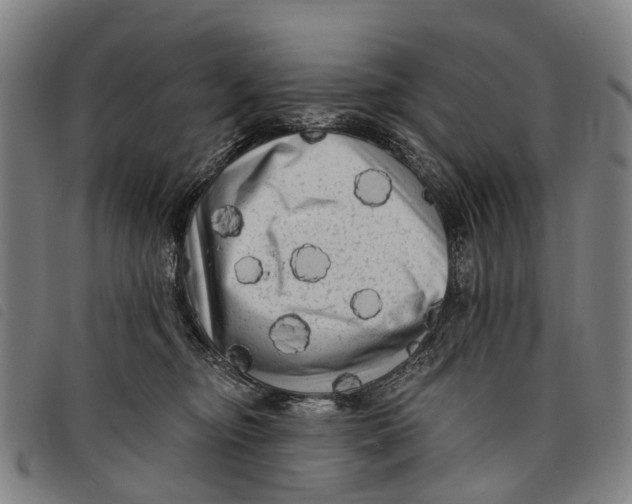 X0000097850374200804041512