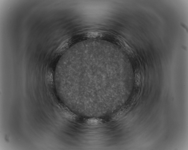 X0000097850375200804041512