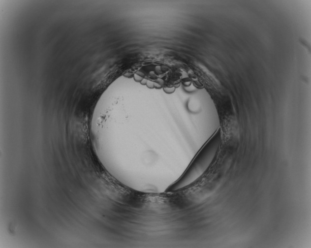 X0000097850376200804041512