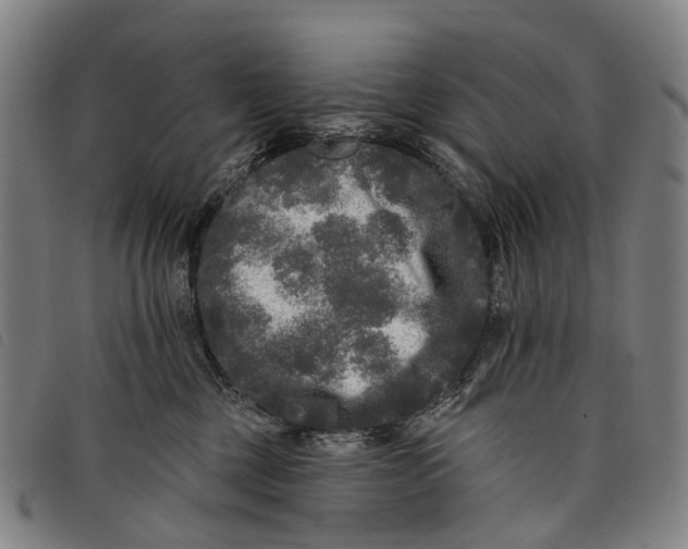 X0000097850377200804041512