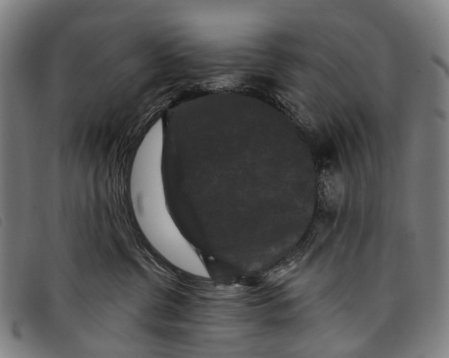 X0000097850380200804041512