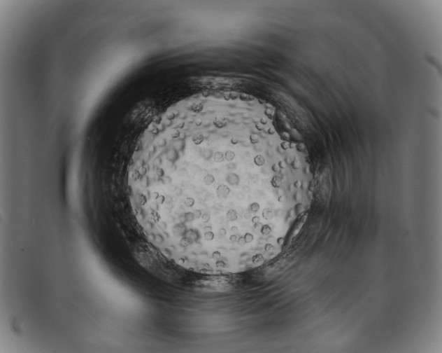 X0000097850381200804041512