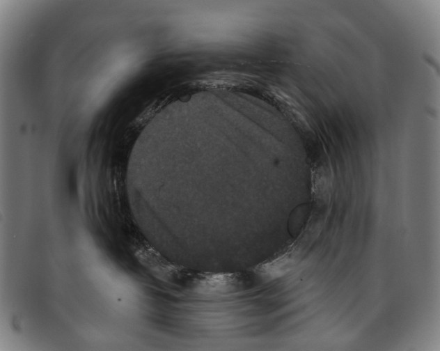 X0000097850382200804041512