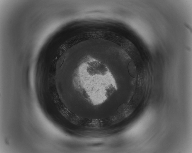 X0000097850383200804041512