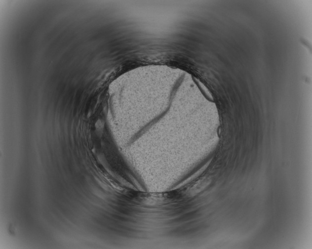 X0000097850384200804041512