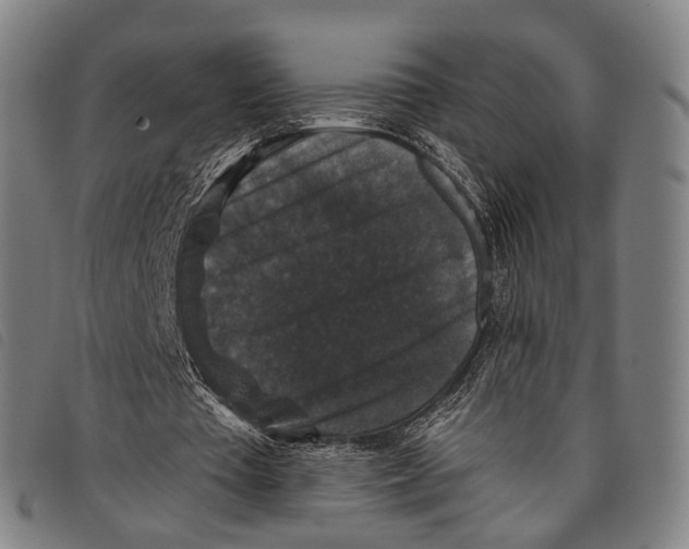 X0000097850385200804041511