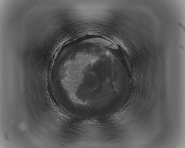 X0000097850386200804041511