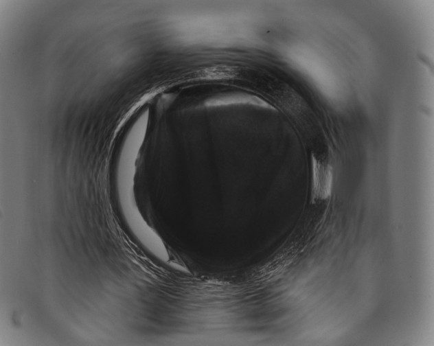 X0000097850387200804041511