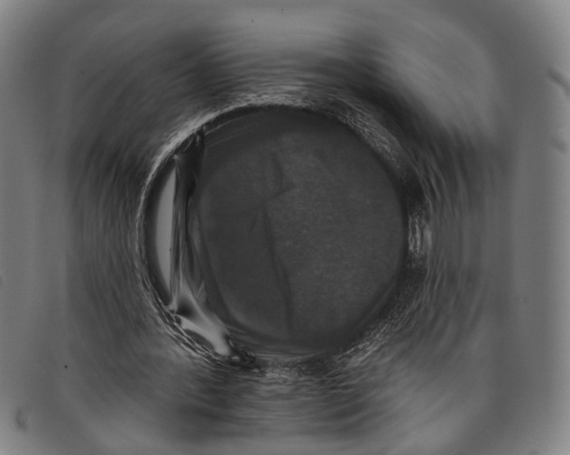 X0000097850388200804041511