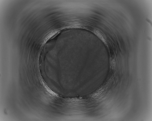 X0000097850389200804041511