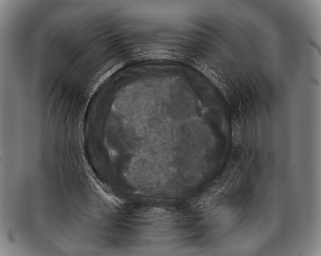 X0000097850390200804041511