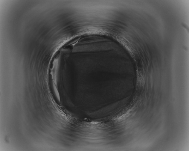 X0000097850391200804041511