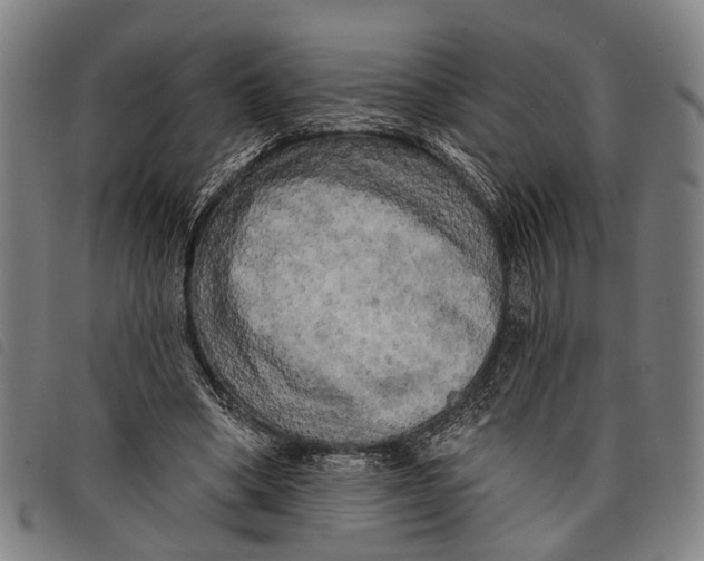 X0000097850394200804041511