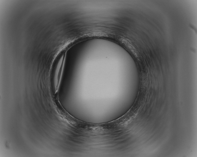 X0000097850395200804041511