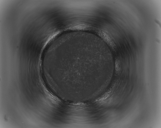 X0000097850396200804041511