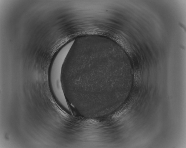 X0000097850397200804041511