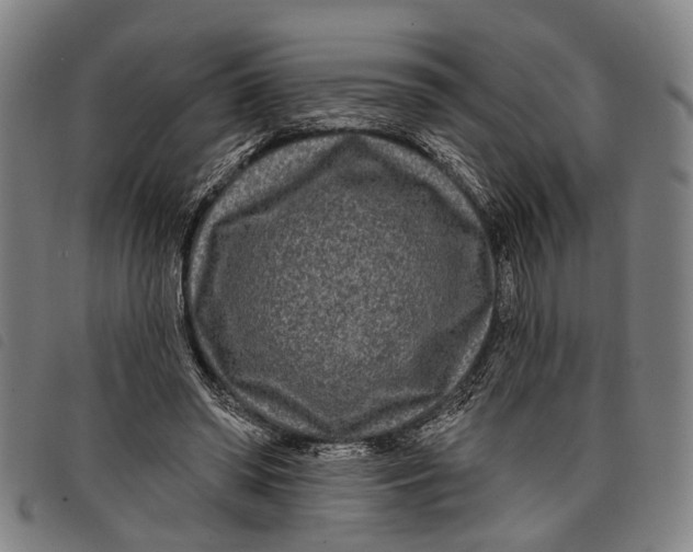 X0000097850398200804041511