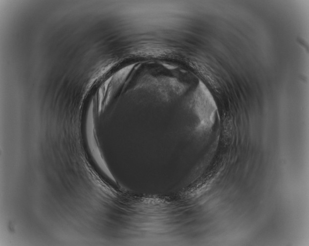 X0000097850399200804041511